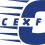 Cexfi – An All-Inclusive Solution to All Problems That a Crypto Startup Faces In Getting Their Project Listed On Exchanges